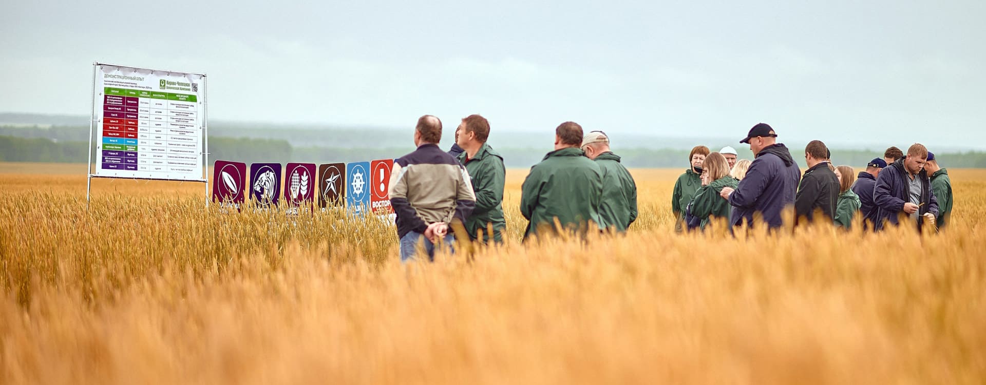 KCCC GROUP. Комплексная защита вашего урожая