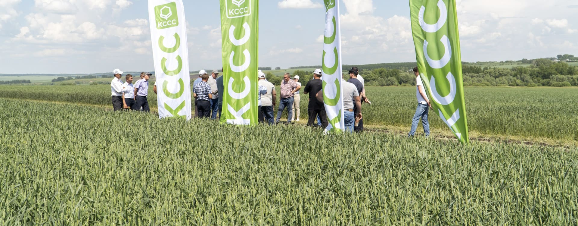 KCCC GROUP. Наши решения для сельскохозяйственных культур